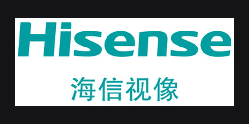 Hisense Visual · 海信视像