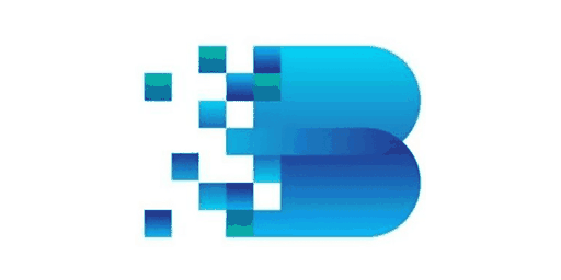Biren Technology · 壁仞科技